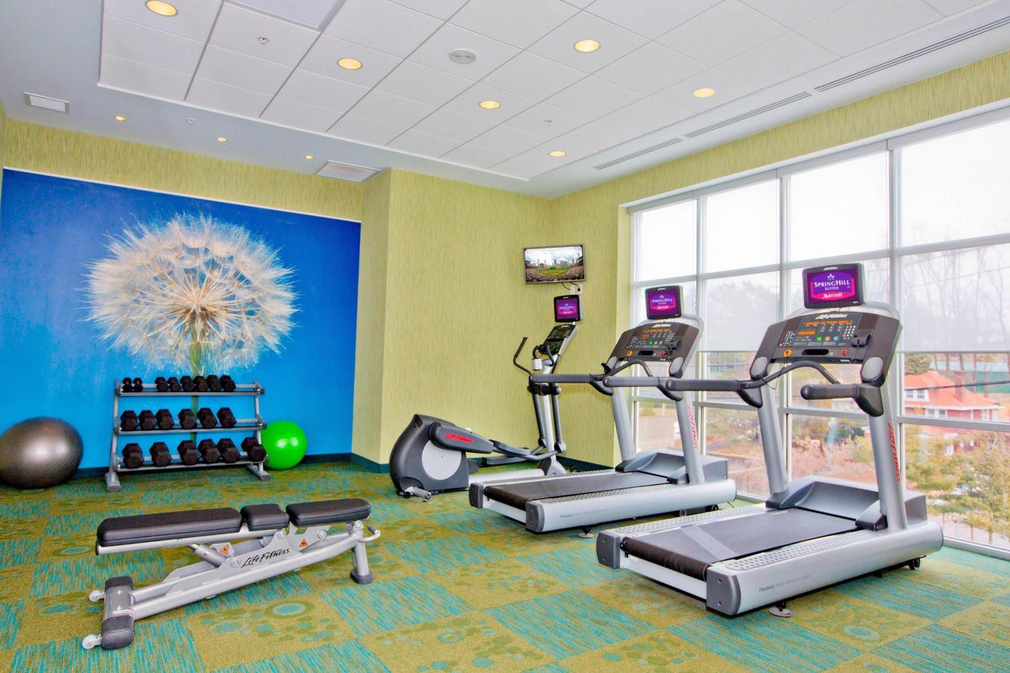 Springhill Suites By Marriott Pittsburgh Mt. Lebanon Exterior photo